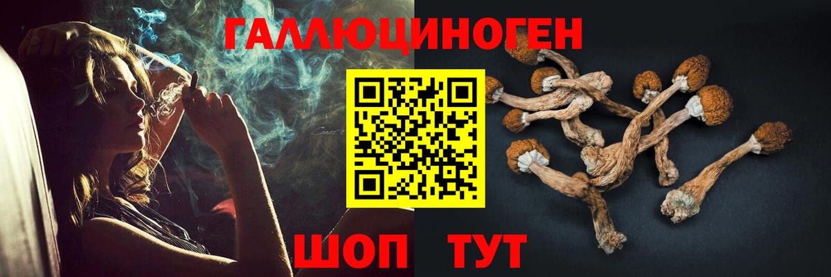 Псилоцибиновые грибы ЛСД  закладка  Ялуторовск  Вход с VPN 